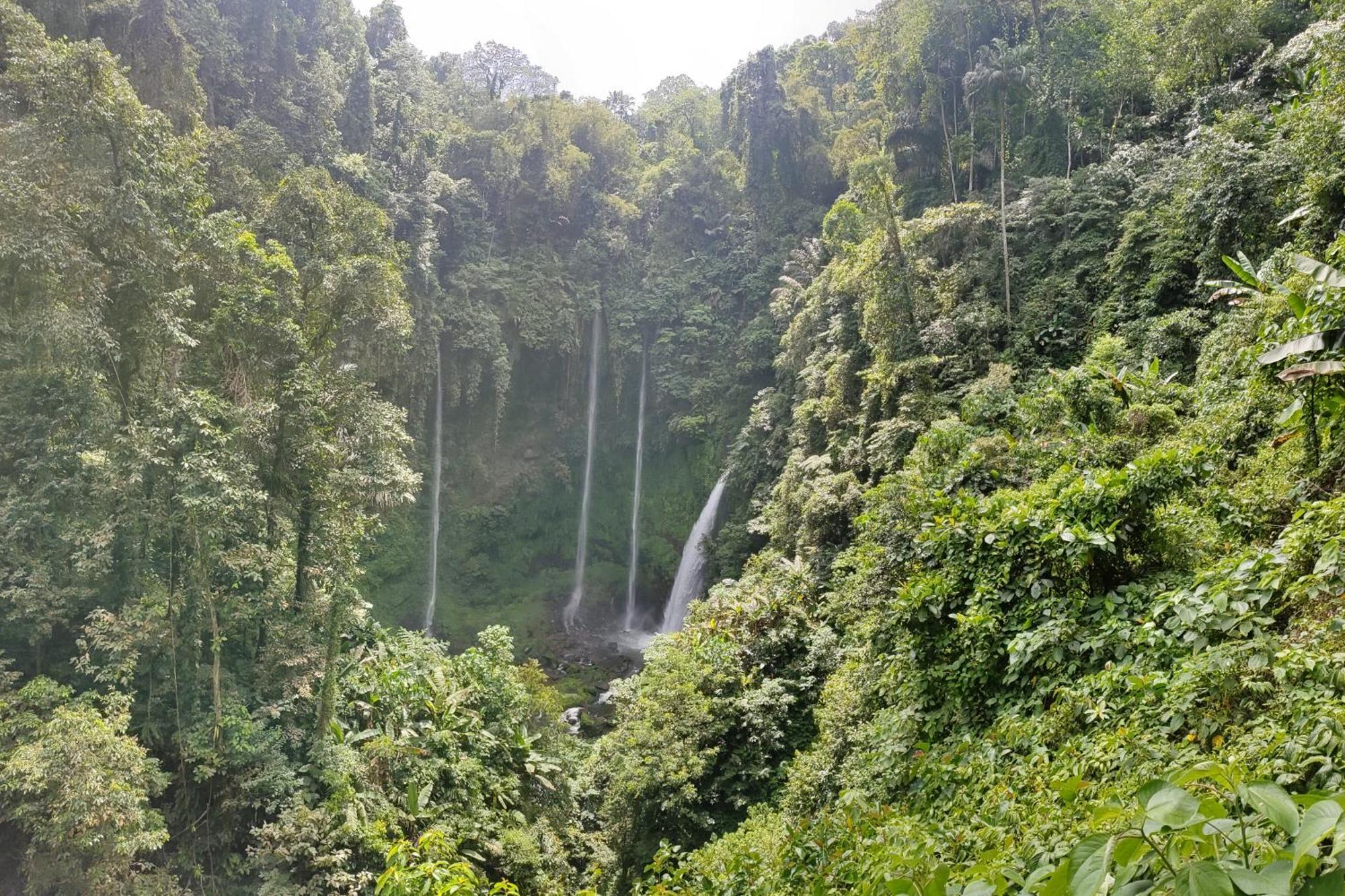 Ilasan Cottage. Tomohon المظهر الخارجي الصورة